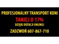 Szczegóły : Transport koni z rabatem