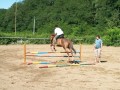 Szczegóły : Wałach do wsółdzierżawy