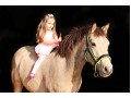 Szczegóły : wszychstronny pony