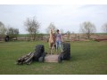 Szczegóły : Sprzedam rocznego ogierk rasy haflinger