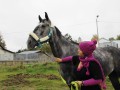 Szczegóły : Współdzierżawa /300 zł/mc