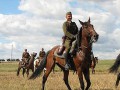 Szczegóły : Sprzedam koń Olimp 14 lat wałach