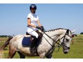 Szczegóły : Koń do sportu