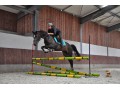 Szczegóły : Revella - przyszłościowa klacz do sportu