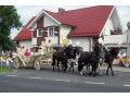 Szczegóły : Sprzedam parę ślązaków.