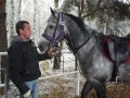 Szczegóły : Ogier Wisus , świetnie ujeżdzony