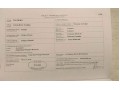 Szczegóły : Ogierek Arabski na sprzedaż 