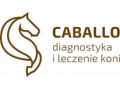 Szczegóły : Diagnostyka i leczenie koni CABALLO - Wodzisław Śląski