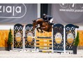 Szczegóły : Posejdon - 9 letni wałach do sportu