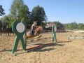 Szczegóły : Klara#rekreacja#hipoterapia#skoki