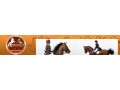 Szczegóły : Sklep jeździecki produkty dla jeźdźca i konia