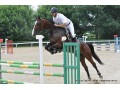 Szczegóły : Znakomita klacz sportowa