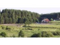 Szczegóły : Zatrudnię wychowawców kolonijnych