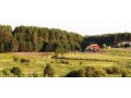 Szczegóły : Zatrudnię instruktorów jazdy konnej