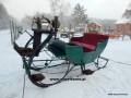 Szczegóły : Sanie konne.