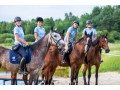 Szczegóły : Zatrudnię instruktorów jazdy konnej