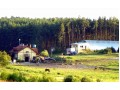 Szczegóły : Zatrudnię instruktorów jazdy konnej